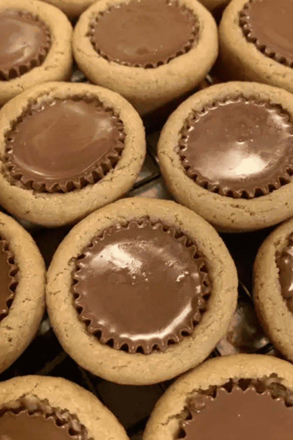 Peanut Butter Cup